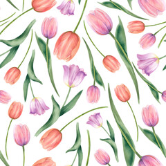Obraz premium Tulips in delicate shades of pink and peach are hand-painted watercolor illustration on a white background. Seamless pattern of spring flowers Fabric printing ornament, scrapbooking. Spring background