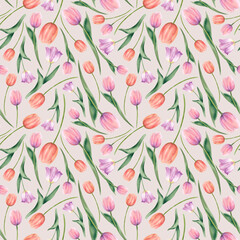Tulips in delicate shades of pink and peach are hand-painted watercolor illustration on a white background. Seamless pattern of spring flowers Fabric printing ornament, scrapbooking. Spring background