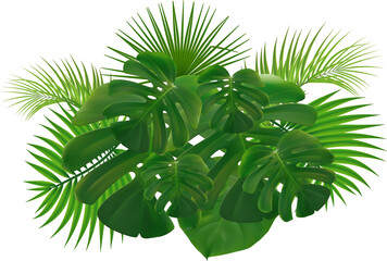 tropical plant green leaves  palm tree isolated on white background dense arrangement of lush green...