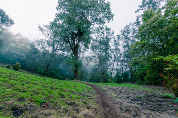Fototapeta premium Stunning views of the cloud forest of the Chicabal volcano in Quetzaltenango.