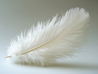 Obraz premium A delicate white feather resting on a smooth surface.