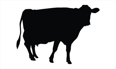 silhouette of a cow