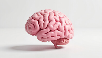 Glossy pink brain model on clean white background with soft shadows for design