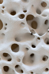 Biomaterials macro
