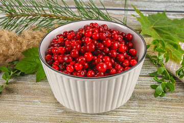 Natural organic wild forwst lingonberry