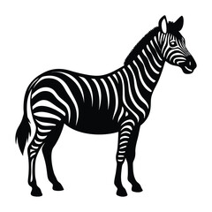 zebra vector illustration silhouette on white background