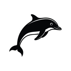 dolphin illustration