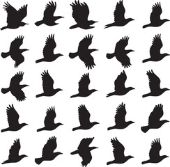 Multipale flying Birds silhouette vector