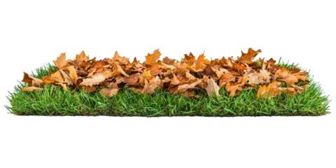 Grass with large rocks isolated. PNG transparent.