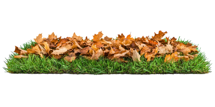 Grass with large rocks isolated. PNG transparent.