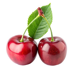 Two cherries isolated on transparent background  
