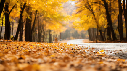 Autumnal Forest Road with Golden Leaves