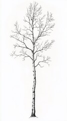 Obraz premium Detailed Black and White Illustration of a Bare Tree with Exposed Roots and Branches