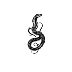 Obraz premium Snake Vector Logo Design