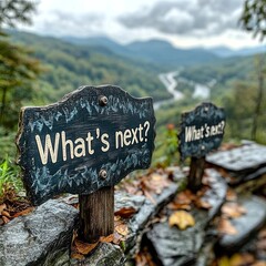 A close-up view of two wooden road signs that read 'What's next?' set against a blurred mountainous landscape