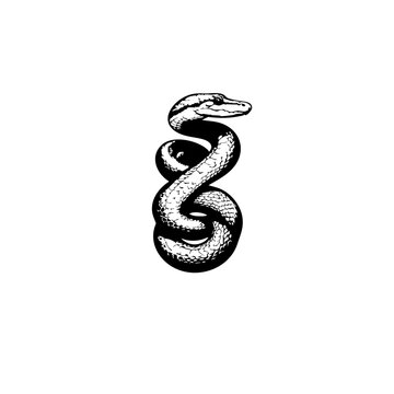 Snake Vector Logo Design