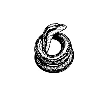 Snake Vector Logo Design