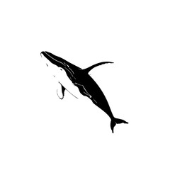 Obraz premium Whale Vector Logo Design