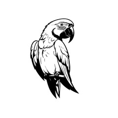 Fototapeta premium Parrot Vector Logo Design