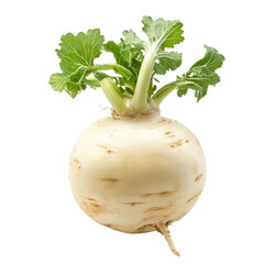 Fresh rutabaga with green leaves on a transparent background highlighting its round shape and natural texture, Rutabaga transparent background