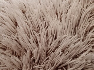 Fur texture 