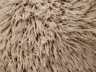 Fur texture 