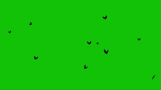 Bats Flying Upward on Green Screen 4K Loop features bats flying from the bottom of the screen off the top of the screen against a solid green background in a loop.