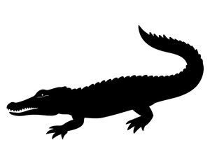 alligator black silhouette vector, Simple silhouette Design vector icon with white background. Wild Animal Vector.	