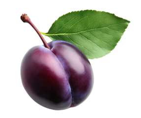 Fresh purple plum with green leaf, isolated on transparent cutout background