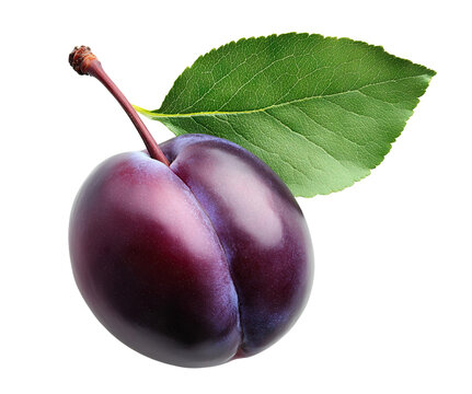 Fresh purple plum with green leaf, isolated on transparent cutout background