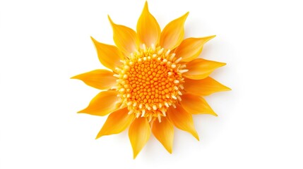 Bright Yellow Flower with Petals Displaying Natural Beauty and Texture