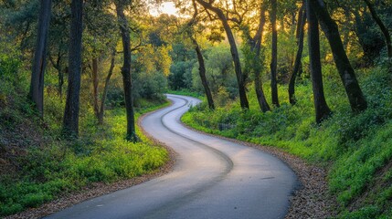 Obraz premium Winding road through a sunlit forest with trees lining the path and green foliage along the sides Copy Space