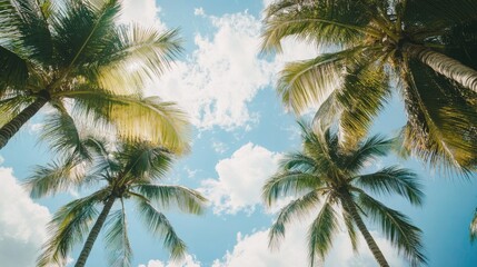 Palm trees against a blue sky with clouds captured from below Copy Space