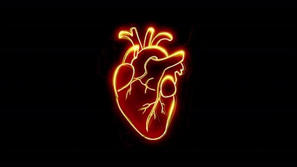 Neon scribble glowing burning human heart beating on a transparent alpha channel. Doodle hand drawn animation. - Powered by Adobe