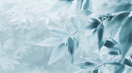 Obraz premium Delicate Blue Leaves Branching Outward Softly