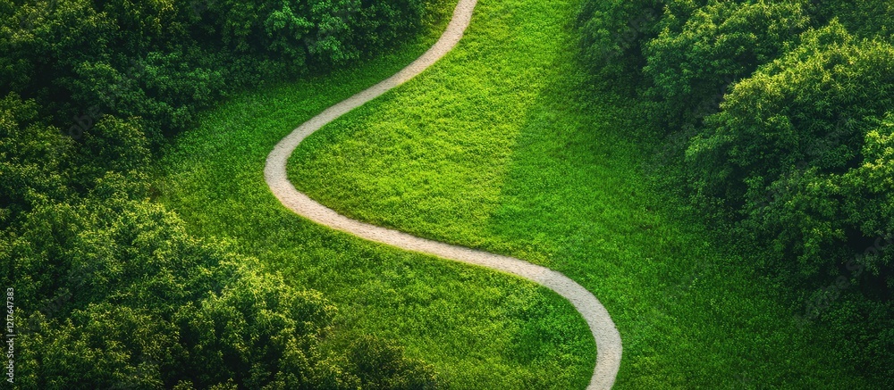 Poster Winding Bridle Path Through Lush Green Forest Aerial View with Ample Copy Space for Text and Design Elements