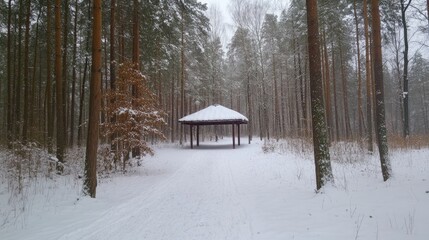 Snowy forest path leading to a gazebo surrounded by tall coniferous trees in winter season Copy Space