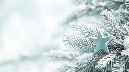 Frosted evergreen branch with silver star ornament against soft blurred winter background Copy Space