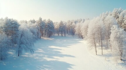 Obraz premium Winter landscape with snow-covered trees and frozen lake in a serene forest scene Copy Space