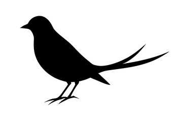 Bird black silhouette vector, bird on a brunch Simple silhouette Design vector icon with white background. Wild Animal Vector. Bird Vector 	