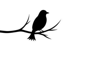 Bird black silhouette vector, bird on a brunch Simple silhouette Design vector icon with white background. Wild Animal Vector. Bird Vector 	