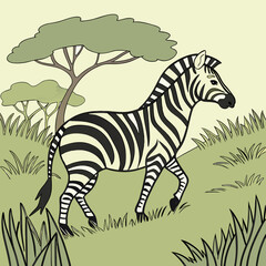 zebra in the grass