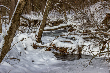 Snowy Creek in Winter Rural Ohio