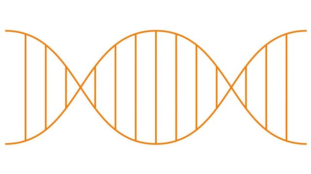 Animated line orange icon of gene. Linear medical symbol is drawn. Concept of DNA, genetics, medicine, genetic engineering. Looped video. Vector illustration isolated on white background.