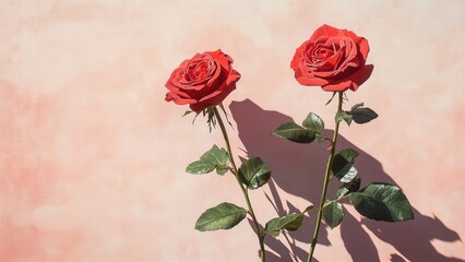Two Vibrant Red Roses Against a Soft Pink Background