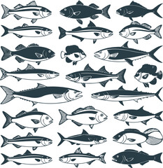 fish illustrated in a flat, line art style. The fish should be diverse in shape and size, showcasing unique characteristics such as fins, scales, and facial features.eps