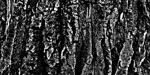 Abstrakcyjna textura, overlay, oryginalny czarno biały wzór, do projektu © anettastar