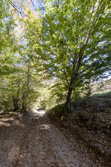 sunny day, nature park, river bottom, walk along the riverbank with an overview of the bottom structure