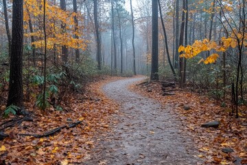 Obraz premium Autumn pathway through a misty forest with golden leaves and soft lighting