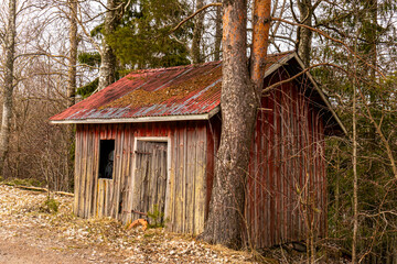 The cottage in Swidish countryside